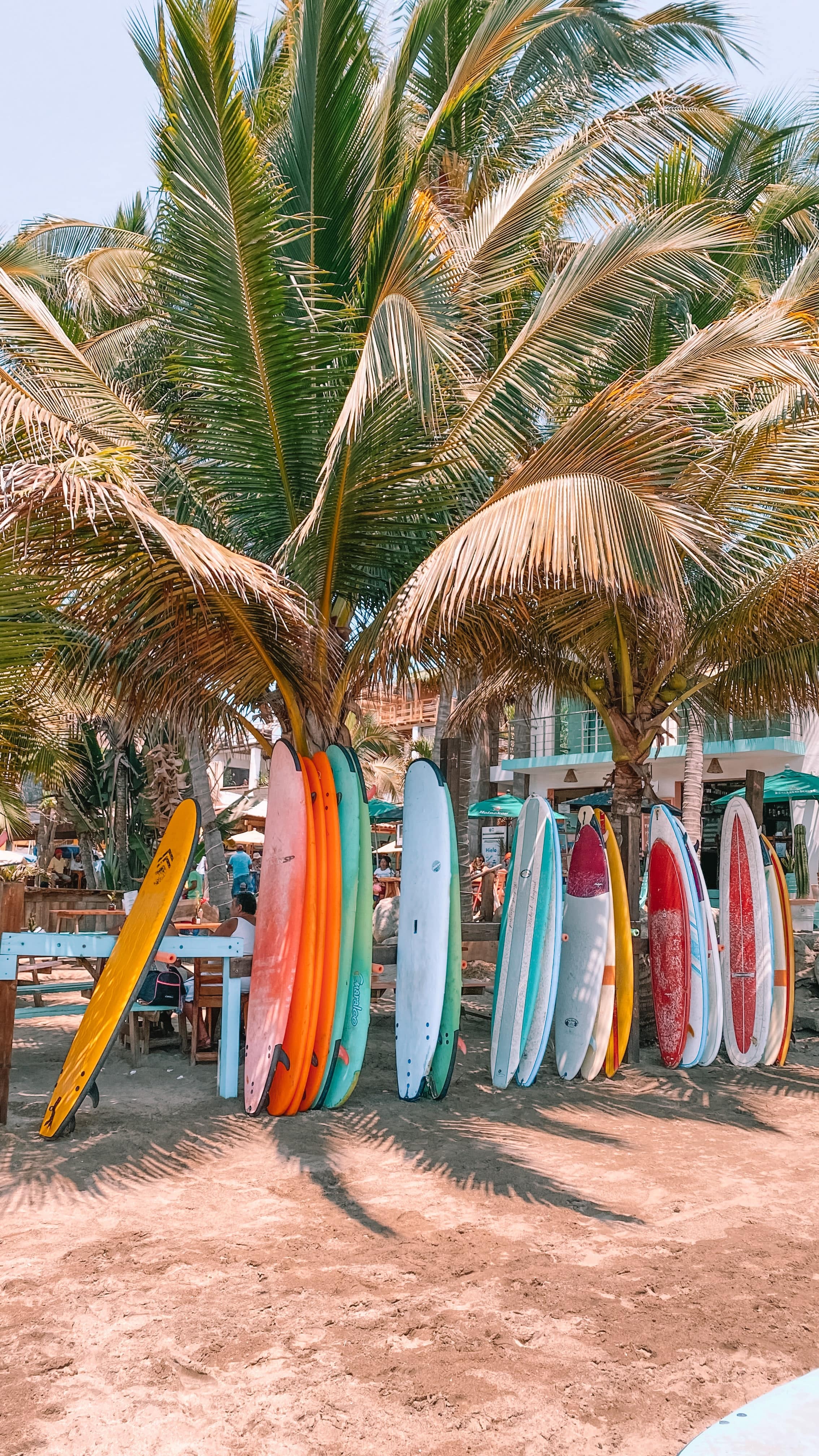 Surfing boards at the beach